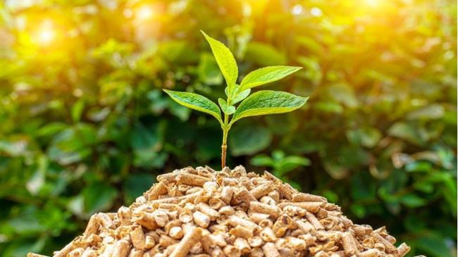 We support an ambitious EU target of 40% renewable energy, but this cannot be achieved without European agricultural and forest biomass!