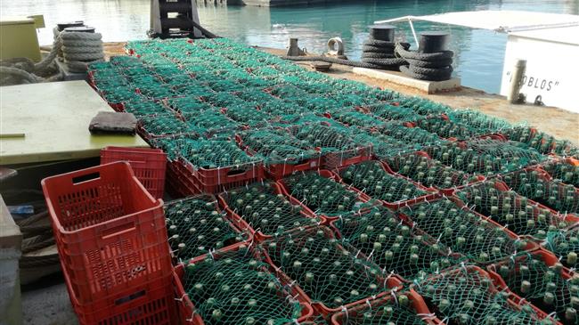 Κελάρι στο βυθό της θάλασσας για τα κρασιά της Ένωσης Ηρακλείου