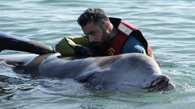 ΠΚΣ: Η σκοπίμως κακόβουλη κριτική και οι ανυπόστατες επιθέσεις δε βοήθησαν ποτέ κανέναν