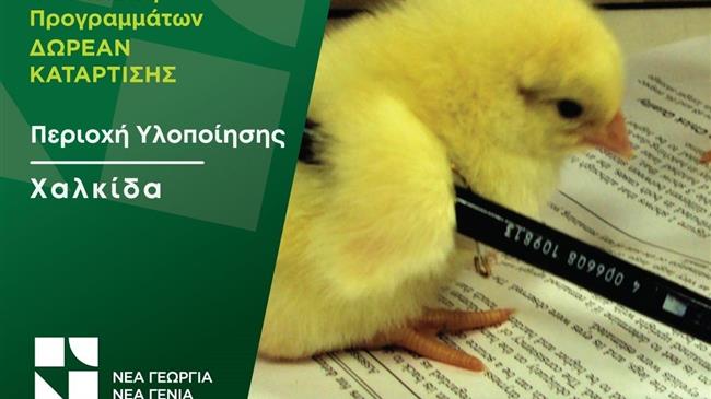 Δωρεάν πρόγραμμα κατάρτισης στον κλάδο της πτηνοτροφίας