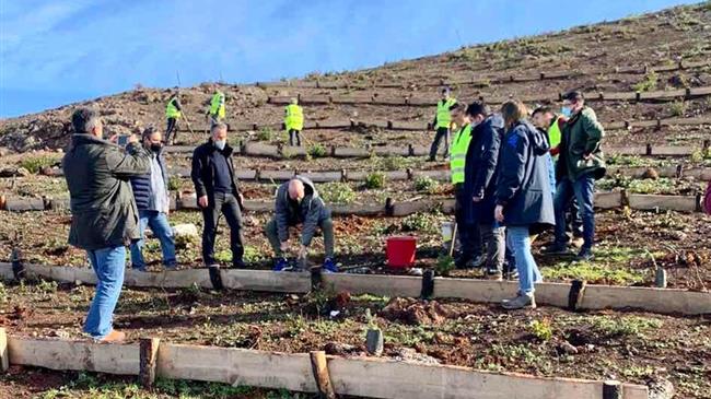 4.000 δέντρα φυτεύτηκαν στην πυρόπληκτη περιοχή της Λίμνης Ευβοίας