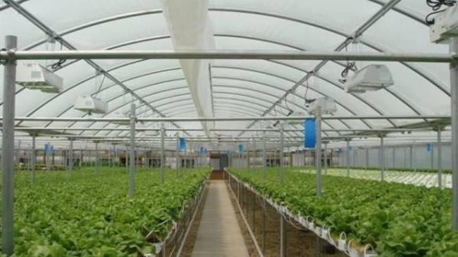 Παρατείνεται η προθεσμία υποβολής αιτήσεων για θερμοκήπια και στέγαστρα φυτικής παραγωγής