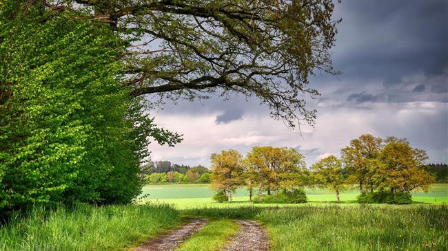 Δήλωση κοινοχρήστων εκτάσεων στον ΟΣΔΕ για την καλλιεργητική περίοδο 2021-2022