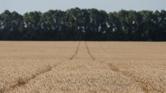 Πως οι κυρώσεις κατά της Ρωσίας ωφελούν τους παραγωγούς εμπορευμάτων ανταγωνιστικών κρατών