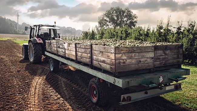 To AgriSpace4 Trust  επιτρέπει την δημιουργία και ανταλλαγή υπηρεσιών δεδομένων για τη βελτιστοποίηση των εισροών ενέργειας στην ελαιοπαραγωγή