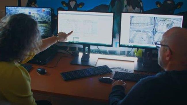 «Μπελάς» για τους παραγωγούς οι κουτσές αγελάδες - Οι αιτίες και οι λύσεις του προβλήματος