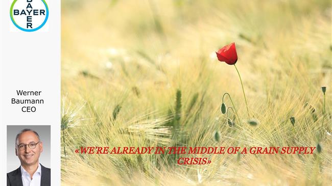 CEO Bayer: «Είμαστε ήδη στη μέση μιας κρίσης εφοδιασμού σιτηρών»
