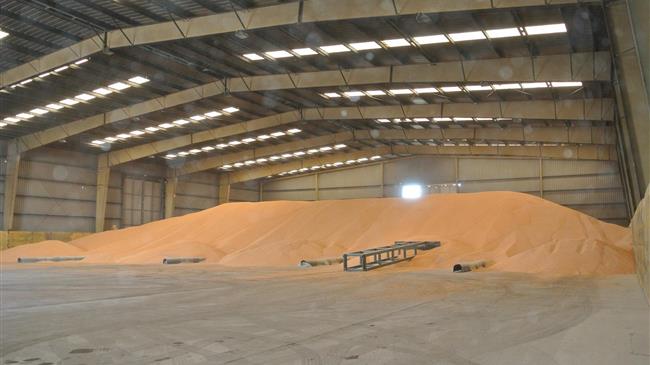 Ποια χώρα έχει τα μισά αποθέματα σιταριού του κόσμου ;