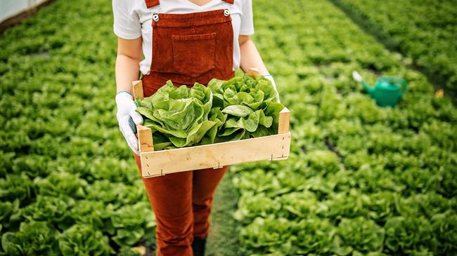Γυναίκες στη γεωργία: το δίλλημα μεταξύ παιδιού ή φάρμας -  Το γερμανικό πρότυπο