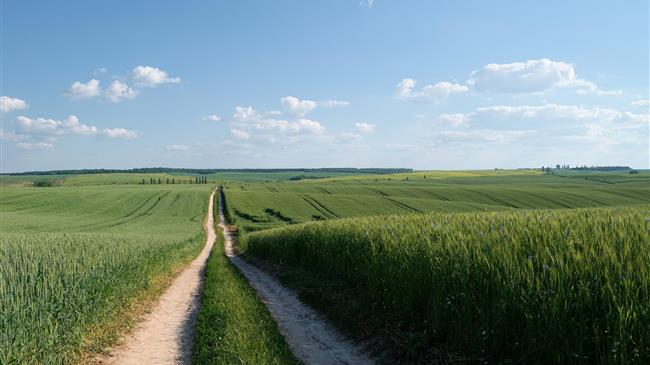 Τι συμβαίνει στην παγκόσμια αγορά σιταριού