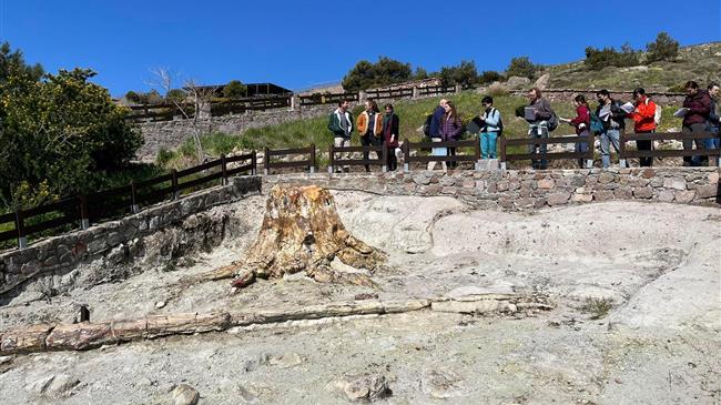 Μυτιλήνη: Από το Πανεπιστήμιο του Λονδίνου μελετώντας τη γεωποικιλότητα και τη βιοποικιλότητα στο Γεωπάρκο Λέσβου