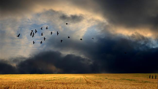 Ουγγαρία: Απαγορεύει τις εξαγωγές σιτηρών