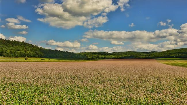 Copa Cogeca: Οι αγρότες χρειάζονται νέες εισροές για να παραμείνουν ανταγωνιστικοί και βιώσιμοι