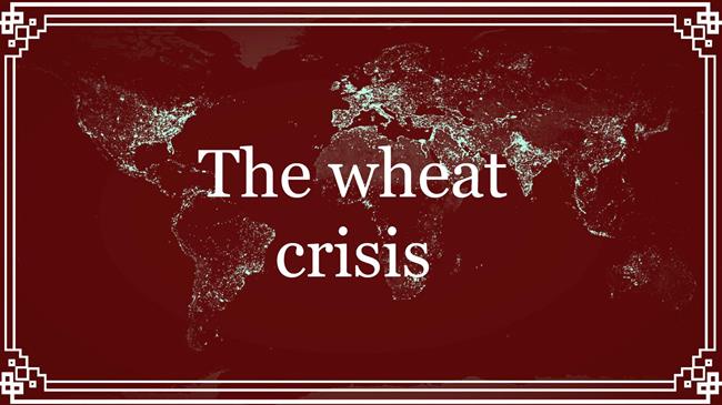 Παγκόσμια αγορά: Ποιες είναι οι προοπτικές στην αγορά σιταριού