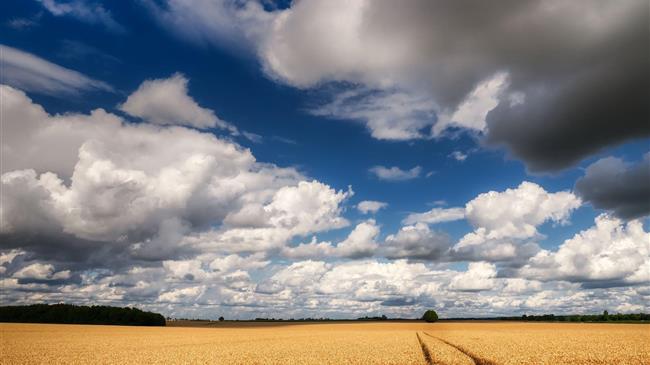 Παγκόσμια Τράπεζα: Ποιες χώρες θα έχουν πρόβλημα - αντιμετωπίζουν ελλείψεις σε σιτηρά