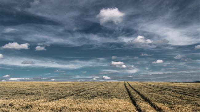 Ζελένσκι: Τα ρωσικά στρατεύματα στοχεύουν τον αγροτικό τομέα της Ουκρανίας