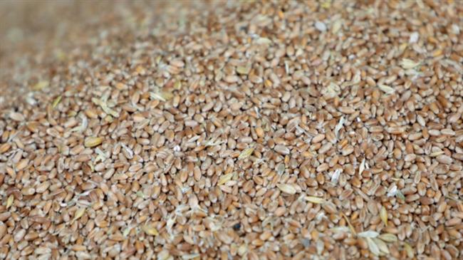 Ουκρανία: Πέντε πλοία γεμάτα με σιτάρι "εξαφανίστηκαν" από ουκρανικό λιμάνι