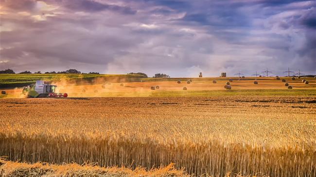 Σιτηρά: Οι εξαγωγείς σιταριού αναζητούν το επικερδές χάσμα της Ουκρανίας -Ρωσίας