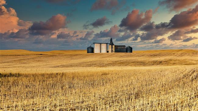 FAO: Αυξημένη κατά 1,1% προβλέπεται να είναι η παγκόσμια παραγωγή σίτου το 2022