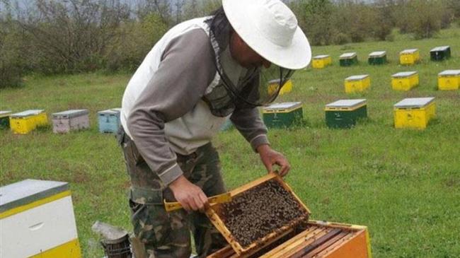 «Πρόγραμμα 3ημερης κατάρτισης Μελισσοκομίας»