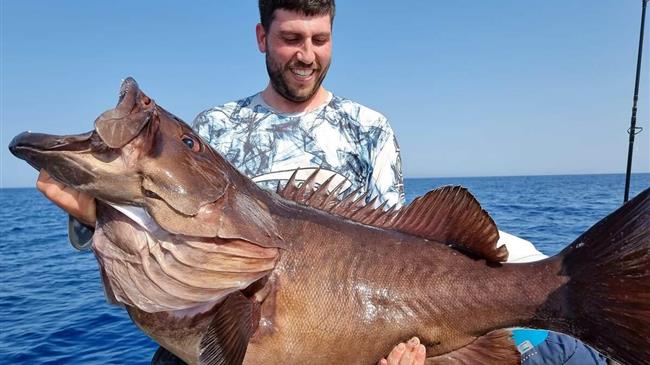 Ψαράδες στην Κρήτη έπιασαν ένα γίγαντα του βυθού