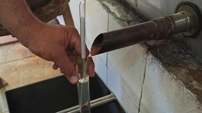 Μάιος, ο μήνας της απόσταξη του κουμαρίσιου παραδοσιακού τσίπουρου στα ριζά του Ολύμπου