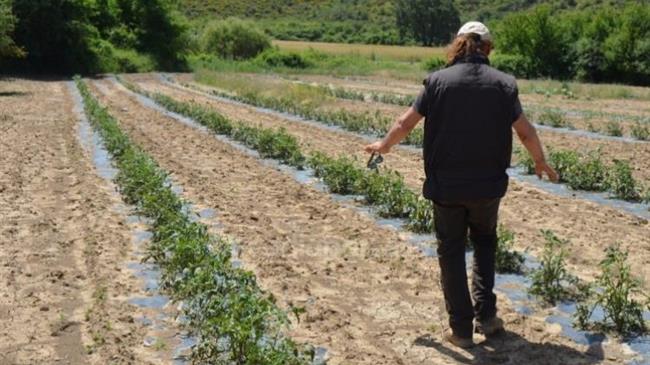 Συσκέψεις στον ΕΛΓΑ  για τις ζημιές στην αγροτική παραγωγή του Δήμου Τρίπολης