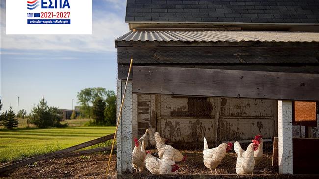 GATE DYNAMIC HOLDINGS: «Καινοτομία και πράσινη μετάβαση στη μεταποίηση αγροτικών προϊόντων»