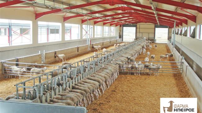 ΦΑΡΜΑ ΗΠΕΙΡΟΣ: το ανθρακικό αποτύπωμα του γάλακτος που παράγει σημαντικά μικρότερο από τον μέσο όρο στην Ευρώπη