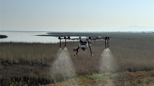 ΠΚΜ: Σε εξέλιξη το πρόγραμμα καταπολέμησης των κουνουπιών