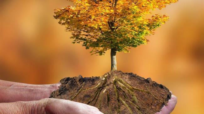 Ευρωπαίος Επίτροπος: Μεγάλες οι επιπτώσεις της κλιματικής αλλαγής στον πρωτογενή τομέα