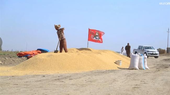 Ιράκ: Κατέρρευσε η παραγωγή σιταριού λόγω ξηρασίας