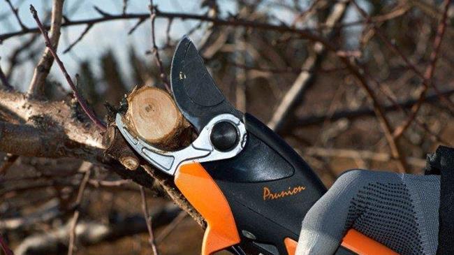 Proactive Check από την Agrotech για τα μηχανήματα της Pellenc