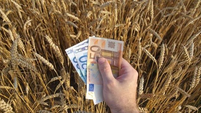 Γεωργαντάς: 20 εκατ. ευρώ για αποζημιώσεις σε προανθικό στάδιο