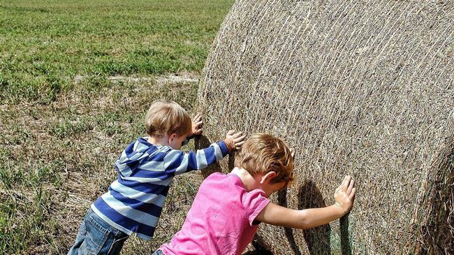 e-ΕΦΚΑ: Λήγει η καθολική απόδοση ασφαλιστικής ικανότητας στους αγρότες