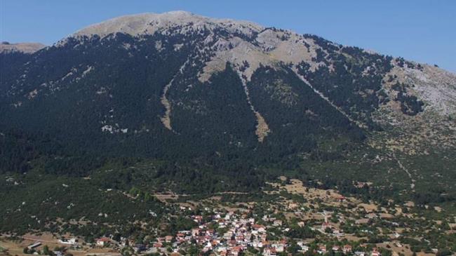 ΠΡΑΣΙΝΟ ΚΙΝΗΜΑ: Συνεχίζεται η αιολική σφαγή της Βοιωτίας