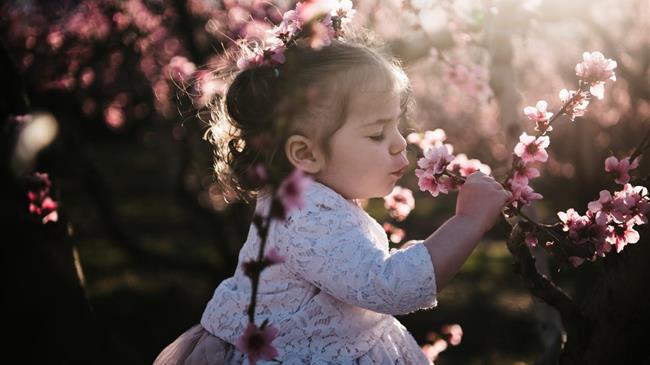 Βραβεία & Διακρίσεις φωτογραφικού διαγωνισμού “Ανθισμένες Ροδακινιές” 2022