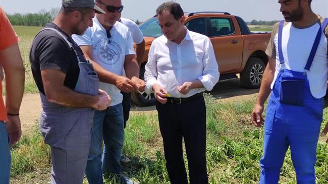 Γεωργαντάς: Σε ορισμένες περιπτώσεις η καταστροφή της παραγωγής είναι καθολική