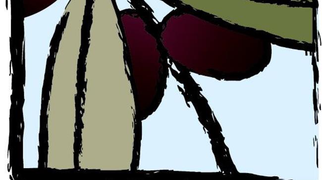 Η Ελληνικά Εκλεκτά Έλαια Α.Ε υποστηρικτής στο διήμερο Μικρασιατικής κουζίνας