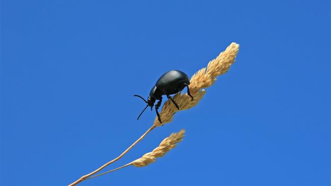 ΟΟΣΑ: Αυτό είναι το κόστος του πολέμου