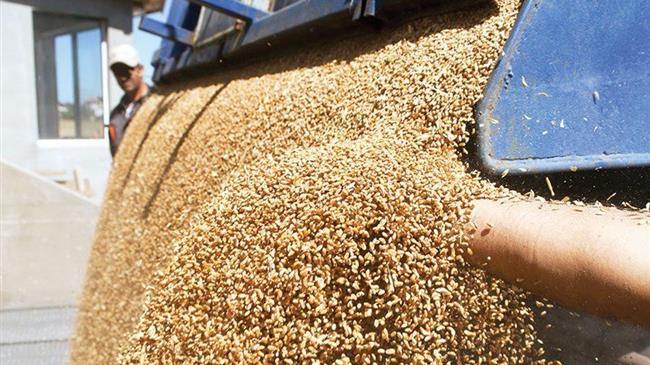 Ουκρανία: Απειλεί με νομικές ενέργειες την ΕΕ εάν συνεχιστούν οι περιορισμοί των σιτηρών