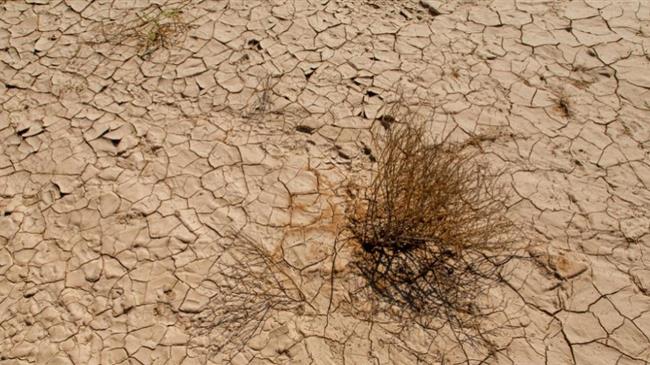 Η Πορτογαλία υποφέρει από ακραία ξηρασία – Σε απόγνωση αγρότες και γεωργοί
