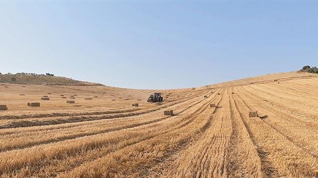 Γρεβενά: Ζημιές στις αροτραίες καλλιέργειες από την ξηρασία