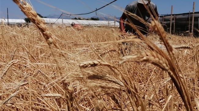 Ένας σιτοβολώνας από τα παλιά, στην τουριστική Ιεράπετρα