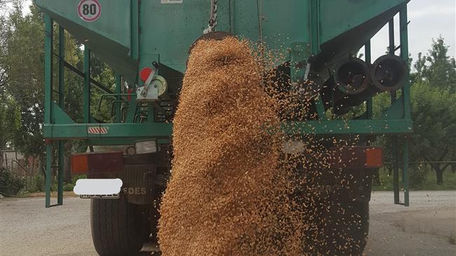 Ουκρανία: Σε 29 εκατ. τόνοι έχουν συγκομιστεί από το 67% των καλλιεργουμένων εκτάσεων