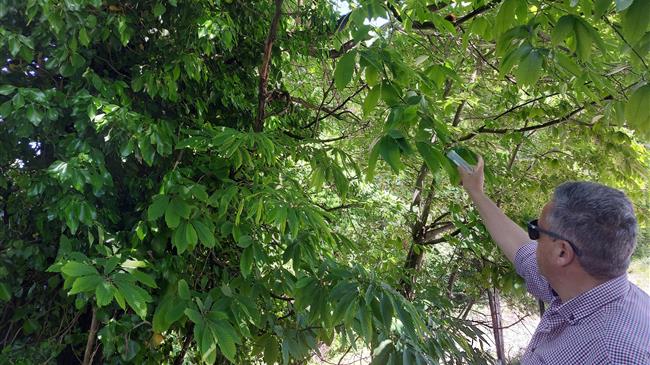 Τζαμτζής: «Τεράστια τα προβλήματα, ζητούμε οικονομική ενίσχυση»