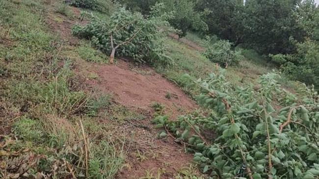 Ζητούν άμεση αποζημίωση των παραγωγών οι βουλευτές της Ν.Δ. στη Θεσσαλονίκη