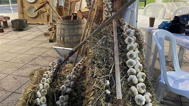 Χρ. Αθανασιάδης: Παράδειγμα προς μίμηση το σκόρδο Πλατυκάμπου