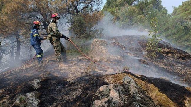 ΑΚΚΕΛ: Θα κινηθεί επιτέλους εισαγγελέας κατά των κυβερνητικών εμπρηστών που έκαψαν το δάσος της Δαδιάς κλπ;