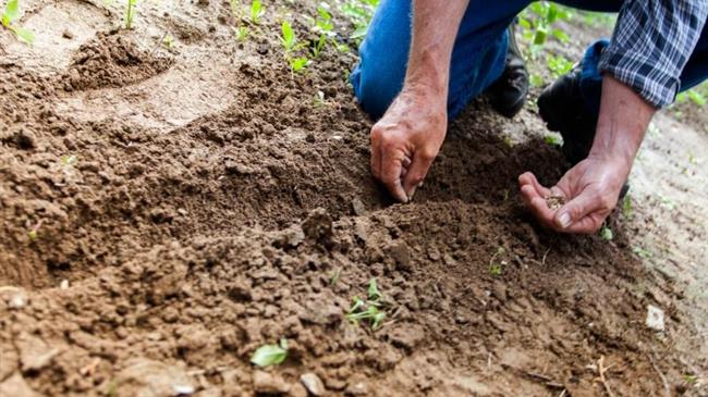 Μουλκιώτης: ﻿Οι αγρότες εκτός «ζώνης ορατότητας»